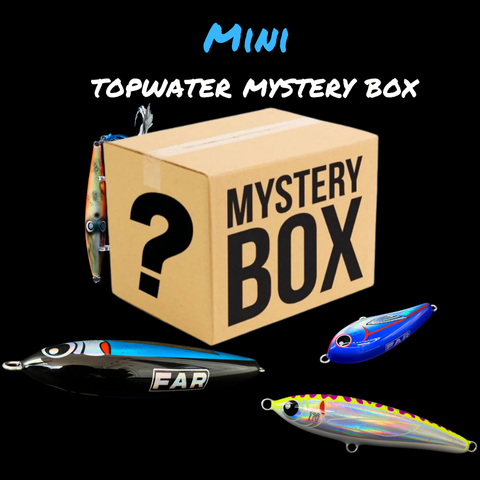 Mini Topwater Mystery Box