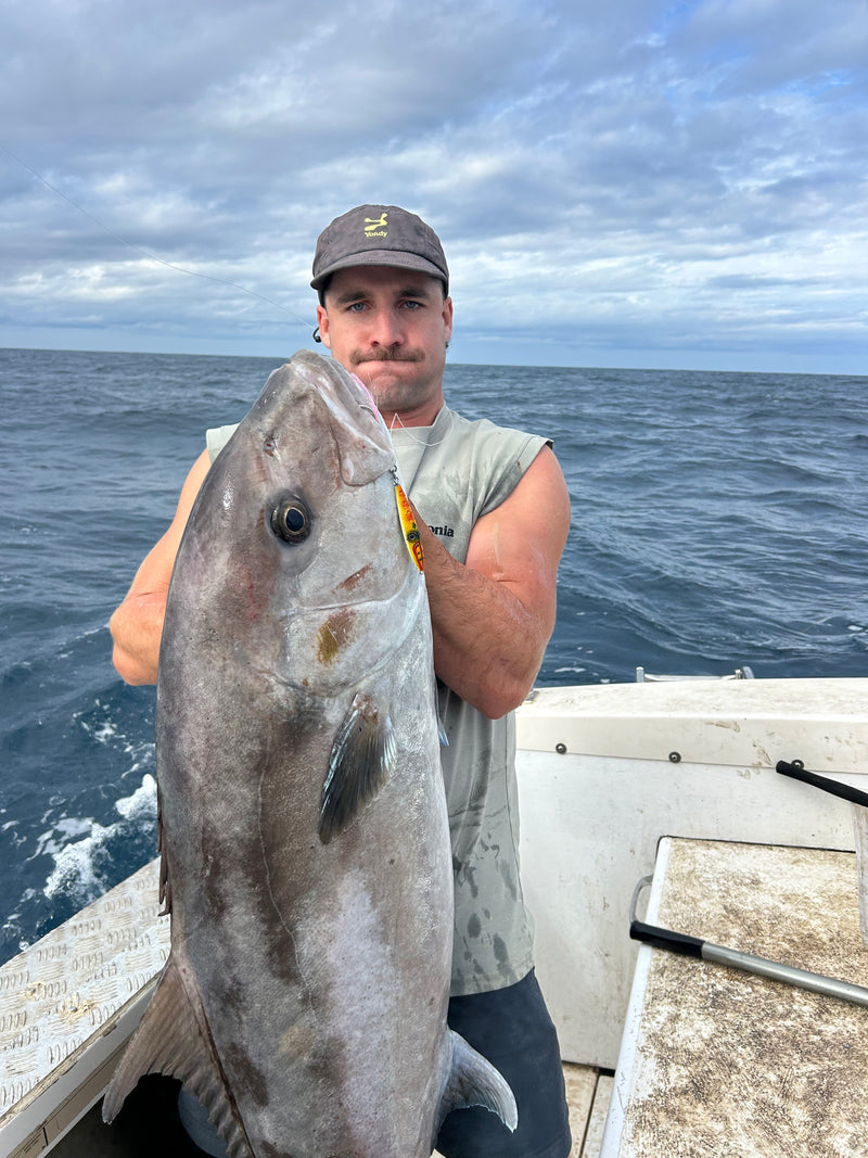 Amber Jack