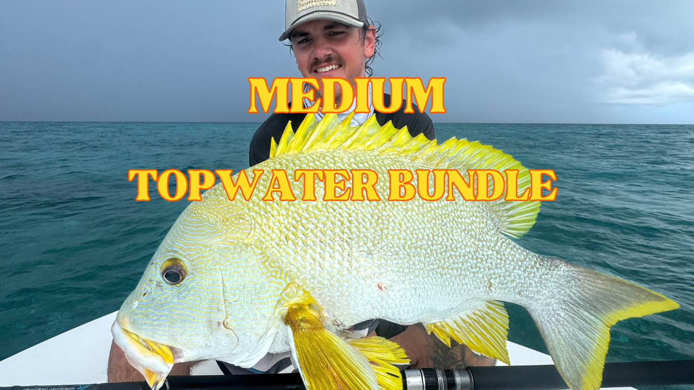 Medium Topwater Bundle