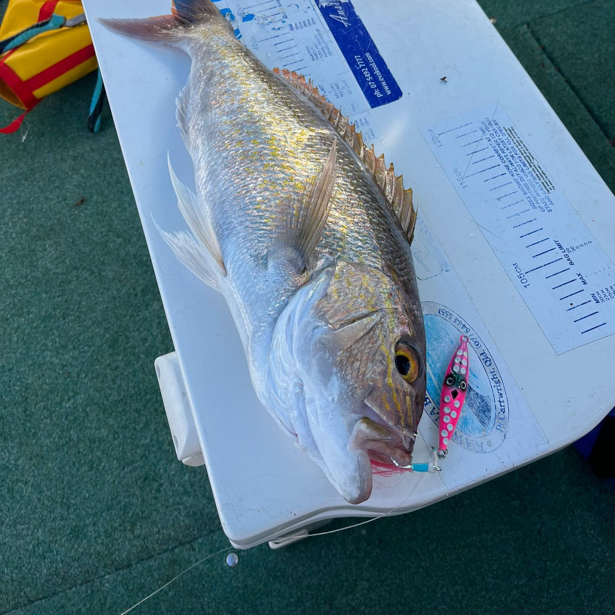 Reef Day Jigging Bundle (10x Jigs)
