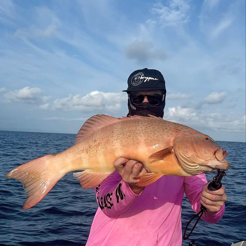 Coral trout