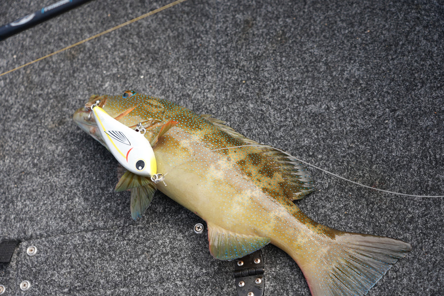 Customer catch