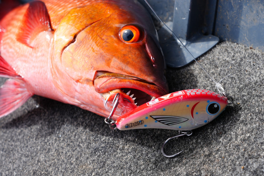Customer catch